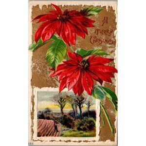 Postcard,Greeting, Christmas, Poinsettia, Embossed, 12/7/1910, Antique (PC135)
